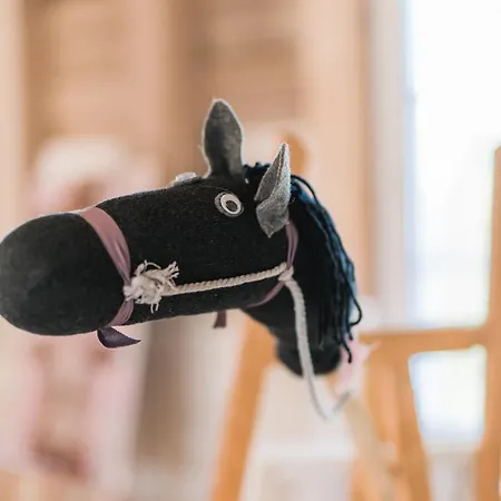 Vakantiehuis Hof Koehne - Haus Feldscheune Links