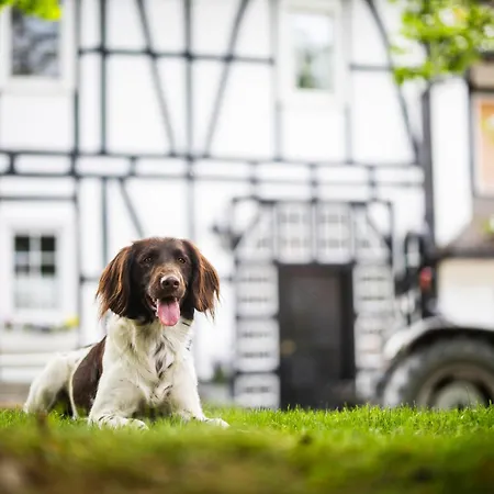 Hof Koehne - Haus Feldscheune Links