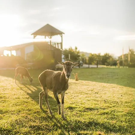Hof Koehne - Haus Feldscheune Links * Schmallenberg
