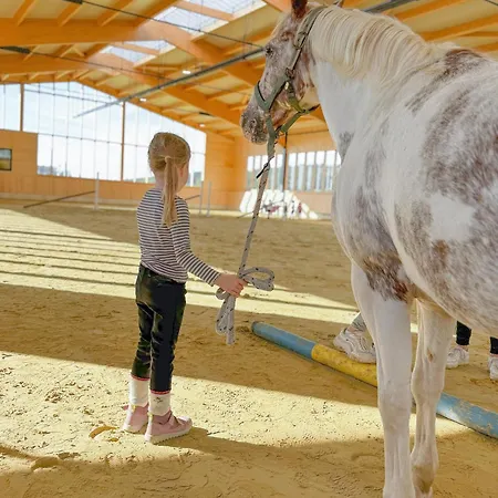 Hof Koehne - Haus Feldscheune Links בית נופש *