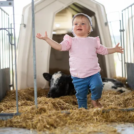 בית נופש Hof Koehne - Haus Feldscheune Links *