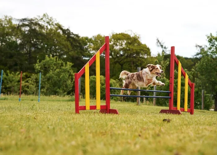 Hof Koehne - Haus Feldscheune Links Сasa de vacaciones Schmallenberg