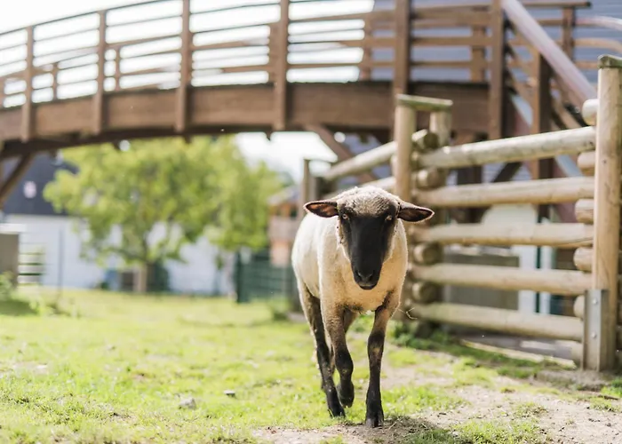 Hof Koehne - Haus Feldscheune Links * Schmallenberg